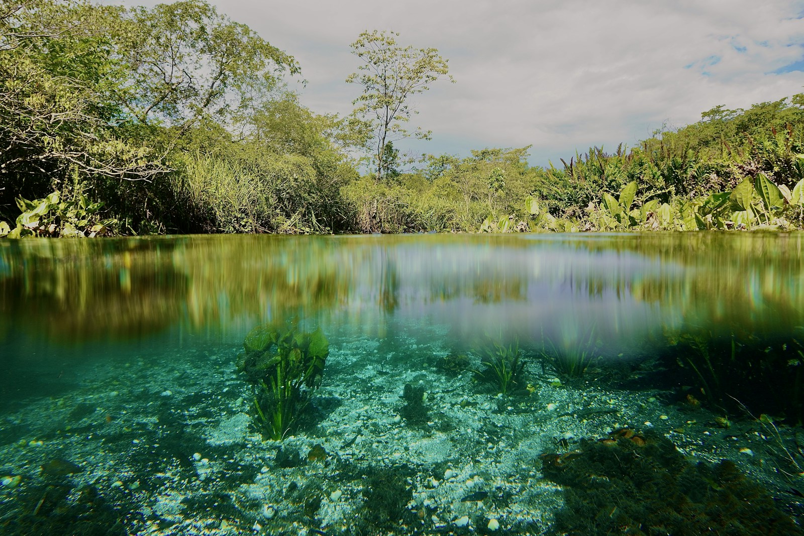 Aquário Natural
