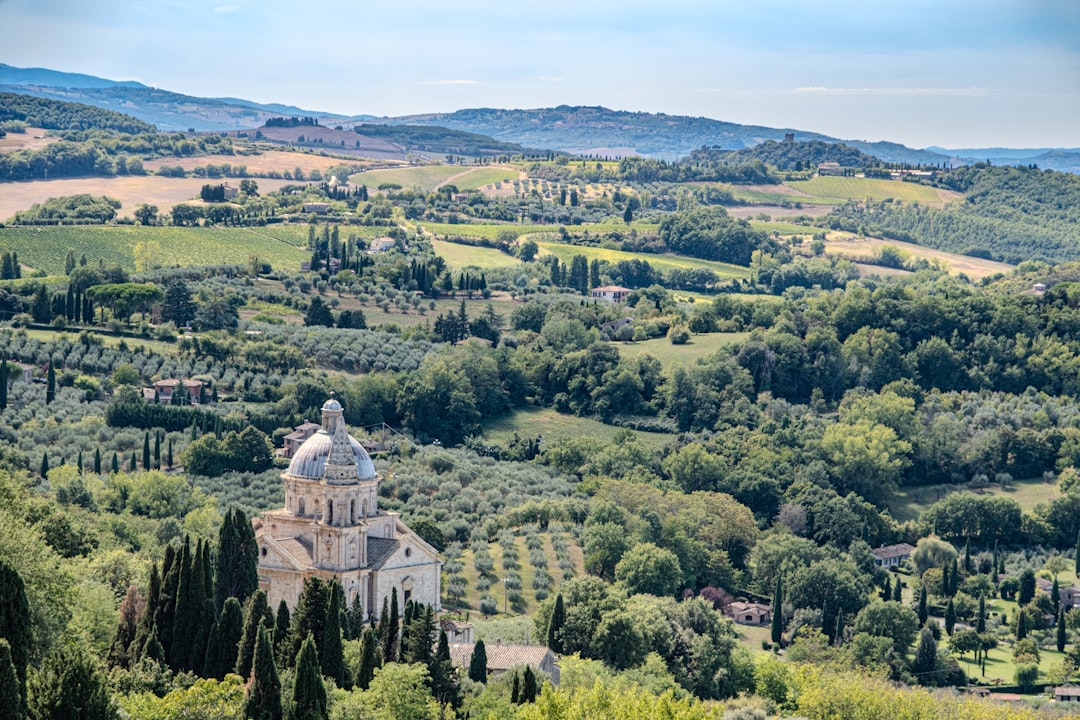 Toscana · vinhos e paisagens