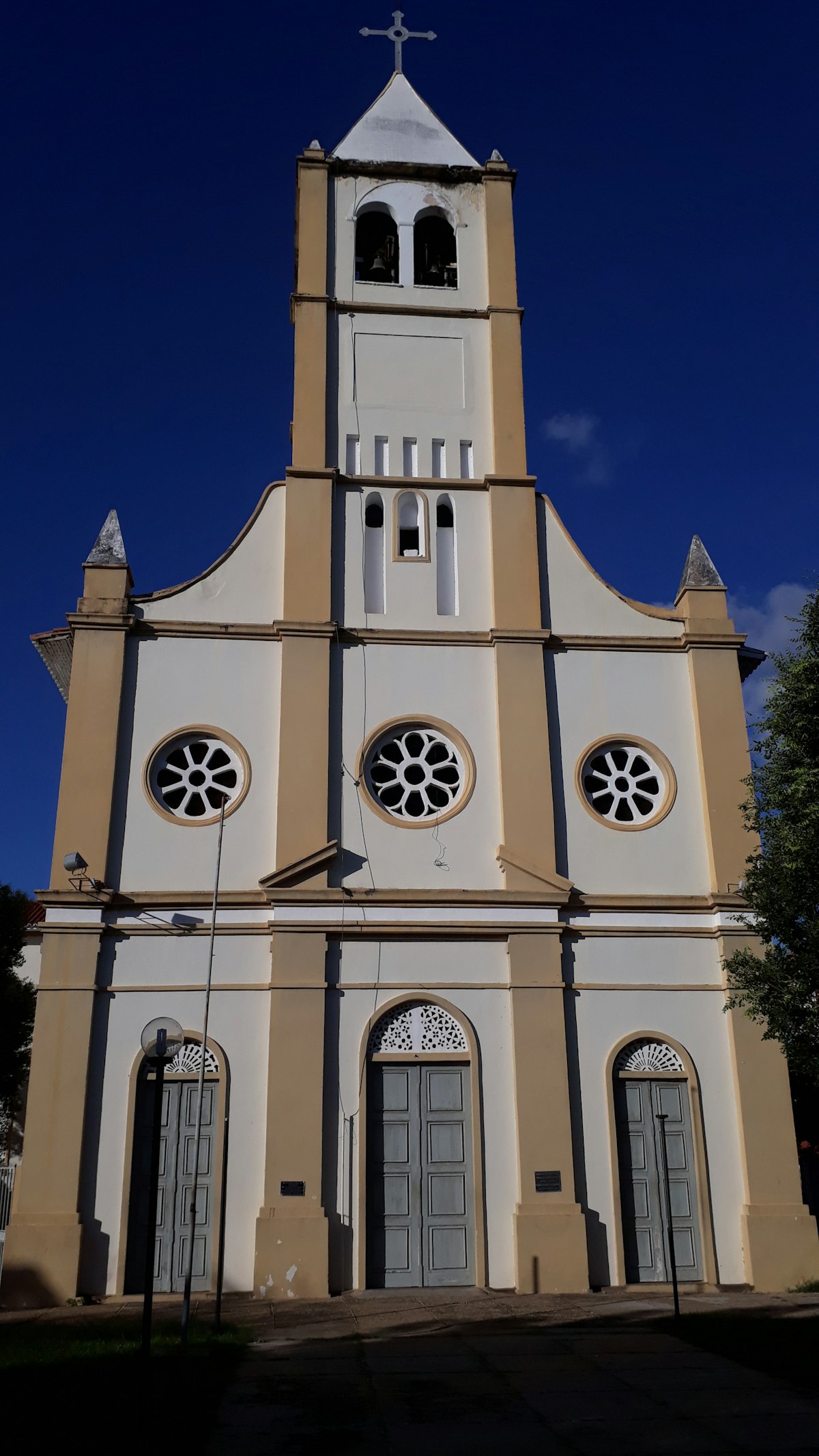 Centro histórico + Igreja de São Francisco