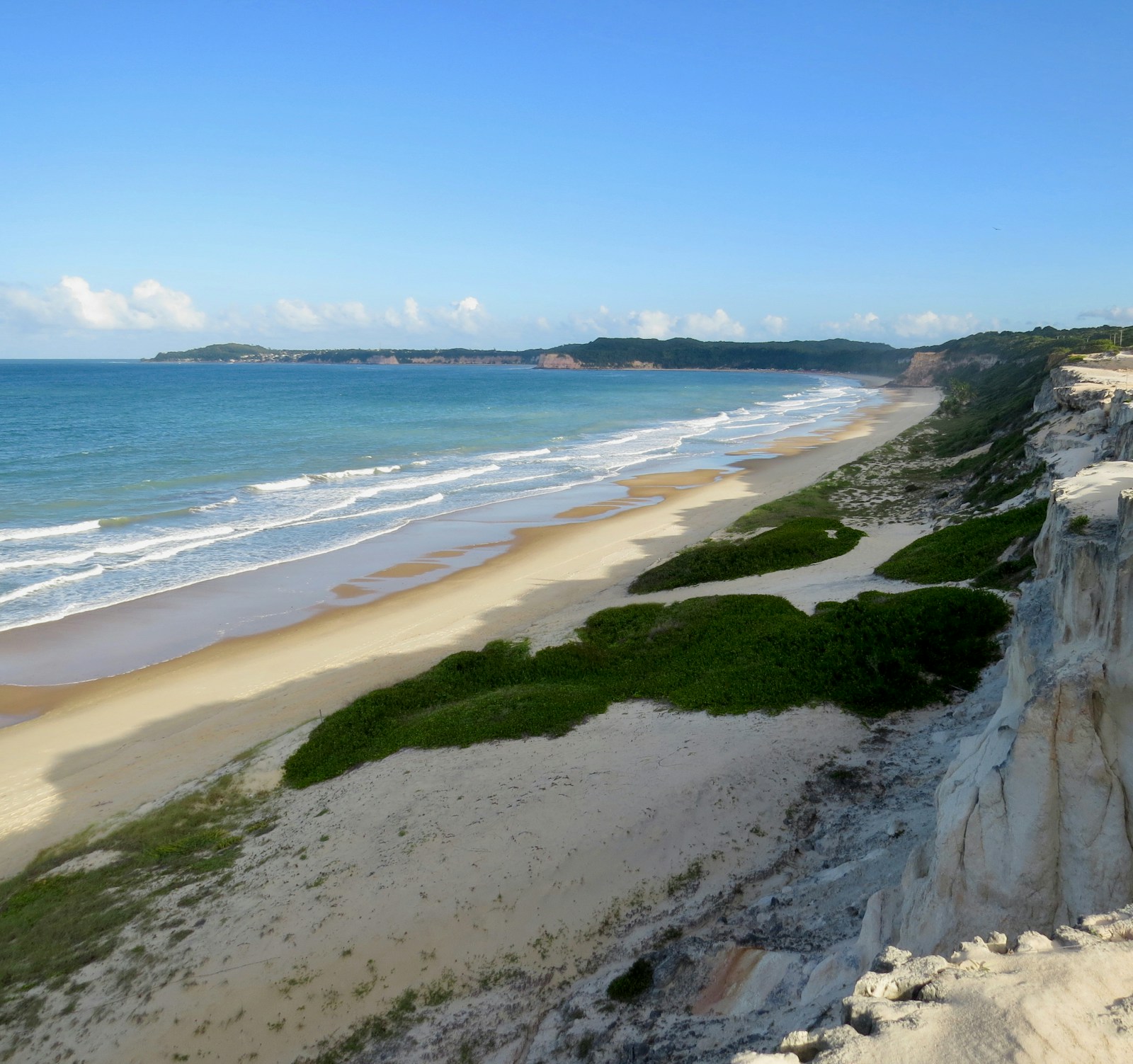 Praia do Madeiro · golfinhos
