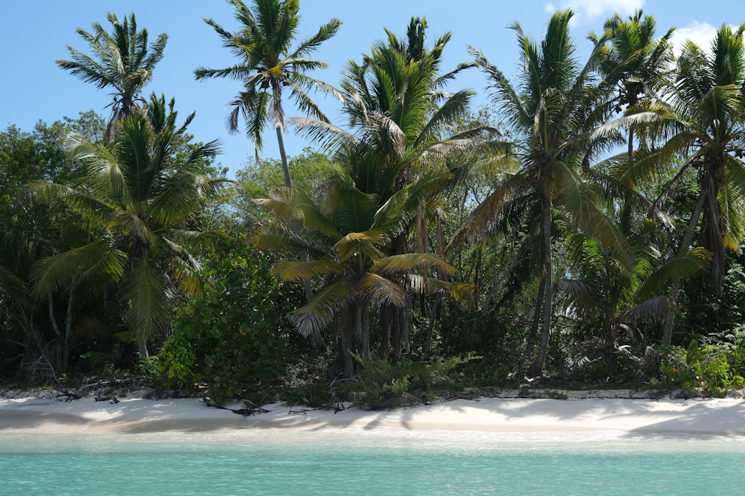 Isla Saona